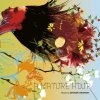 Various Artists "A Mature Hour - mixed by Groove Unchant"
