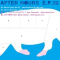 Shiho Fujisawa After Hours E.P.02 藤澤志保 