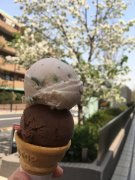 Sakura & chocolate ice cream @ Tomihisa Ice Cream