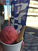 Chocolate & strawberry ice cream @ Tomihisa Ice Cream