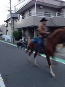 Cowboy in Tokyo