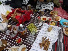 Picnic