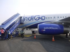 IndiGo