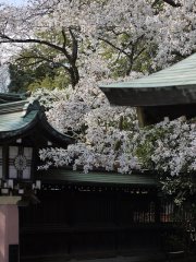 大宮八幡宮