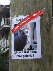 Tabou retrouvé!