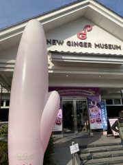 Iwashita New Ginger Museum