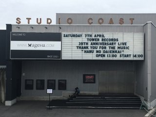 Tower Records 39th Anniversary Live