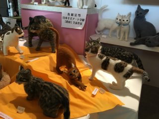 ちよだ猫まつり