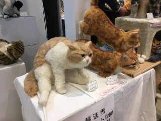 ちよだ猫まつり