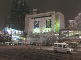 Snow in Shibuya