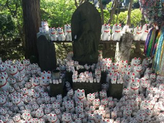 豪徳寺 Gōtokuji