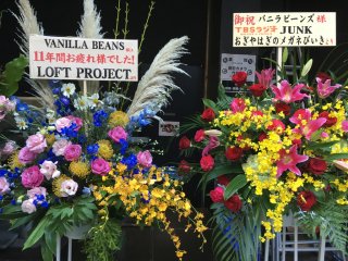 Vanilla Beans last one-man live @ Shibuya Duo Music Exchange