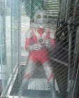 Moblog