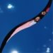 Breakbot "Still Waters"