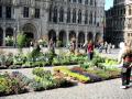 Market at Grand-Place