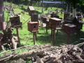Squirrel garden