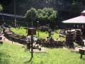 Squirrel garden