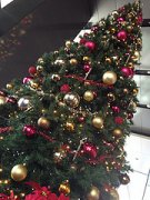 クリスマスツリー