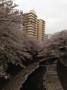 神田川