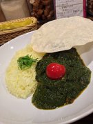 Saag chicken curry