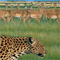 Fantastic Plastic Machine "Zoo"