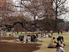 Picnic
