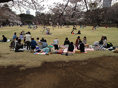 Picnic