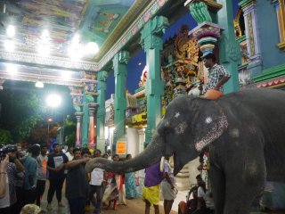 Arulmigu Manakula Vinayagar Temple